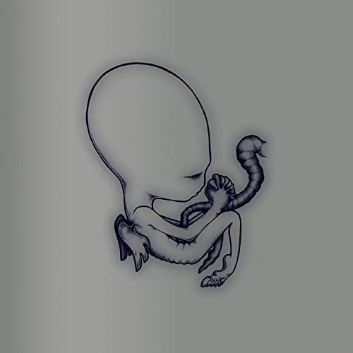 Sigur Rós: Ágætis byrjun (“Good Beginning”) 20th Anniversary Edition