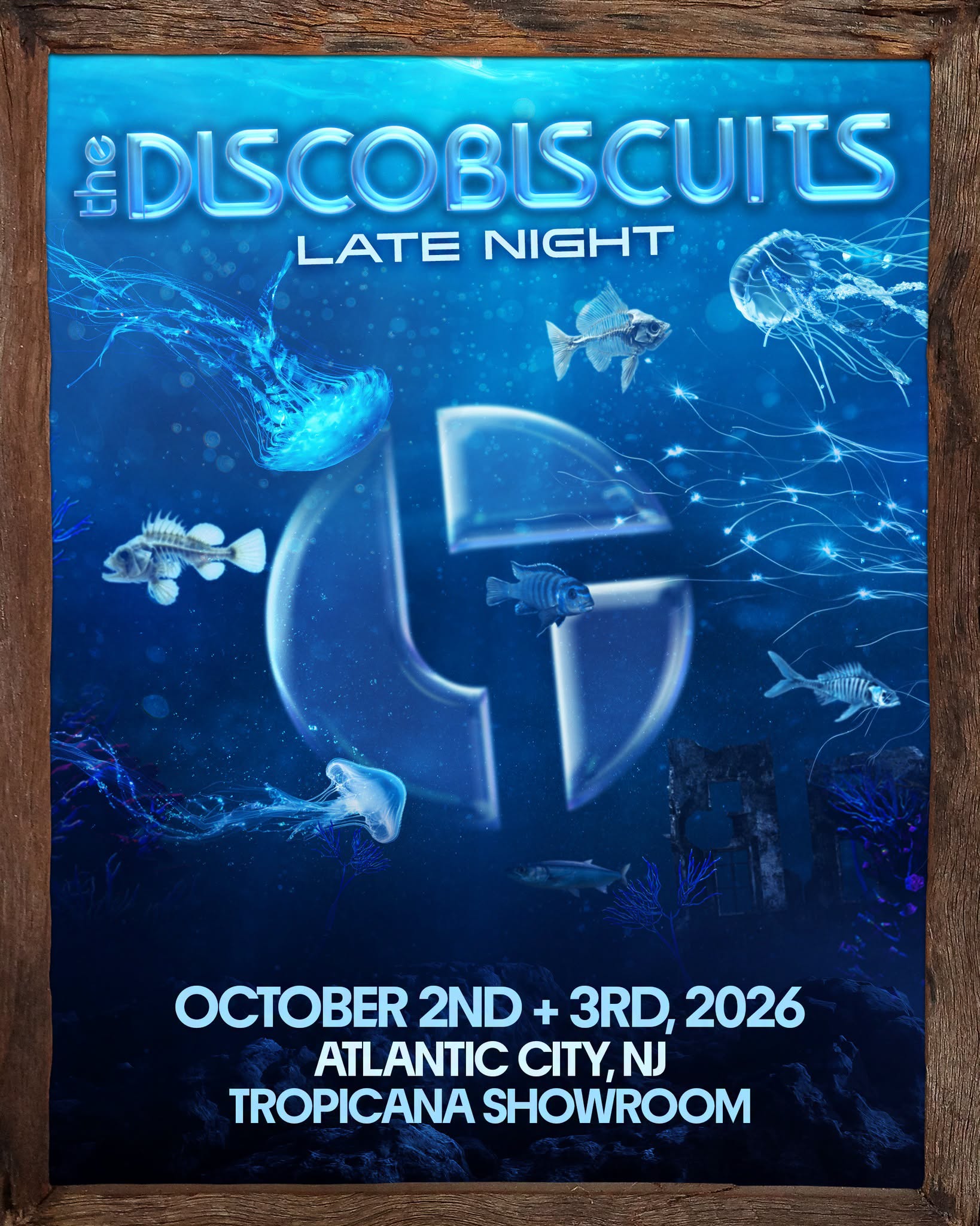 ミュージック The Disco Biscuits / PROGRESSIONS (DVD